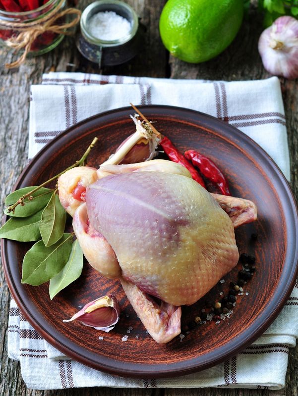 acheter du pigeon halal sur Rungis pour professionnel boucher en Bretagne et à Nantes